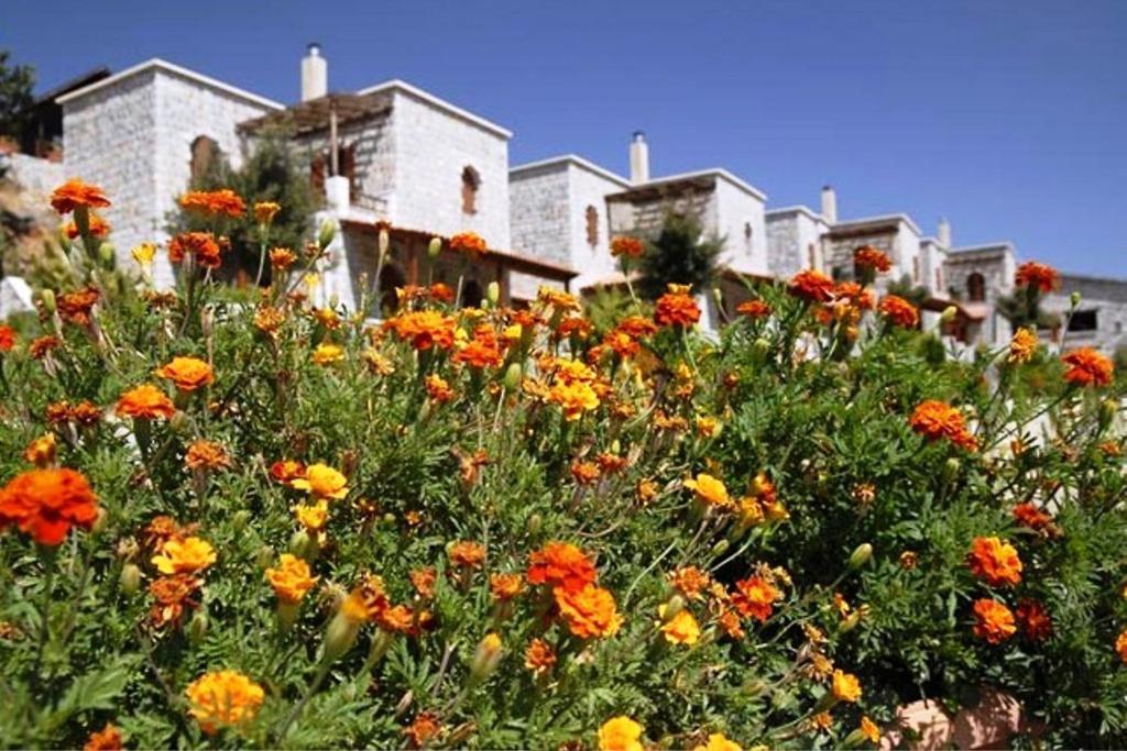 Lefkoritis Resort Askifou Sfakia Petres  Ngoại thất bức ảnh