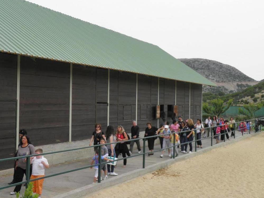 Lefkoritis Resort Askifou Sfakia Petres  Ngoại thất bức ảnh