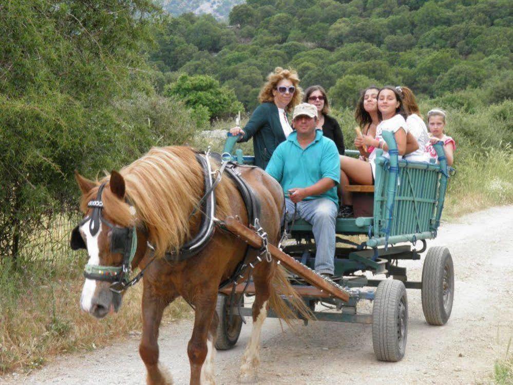 Lefkoritis Resort Askifou Sfakia Petres  Ngoại thất bức ảnh